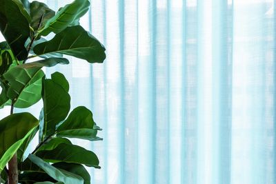 Gordijnsystemen, SG 5600, Colorama 1, Virgin Money, Glasgow, Scotland, United Kingdom